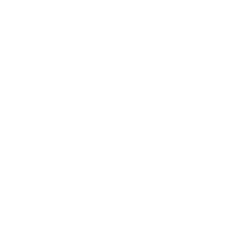 case icon